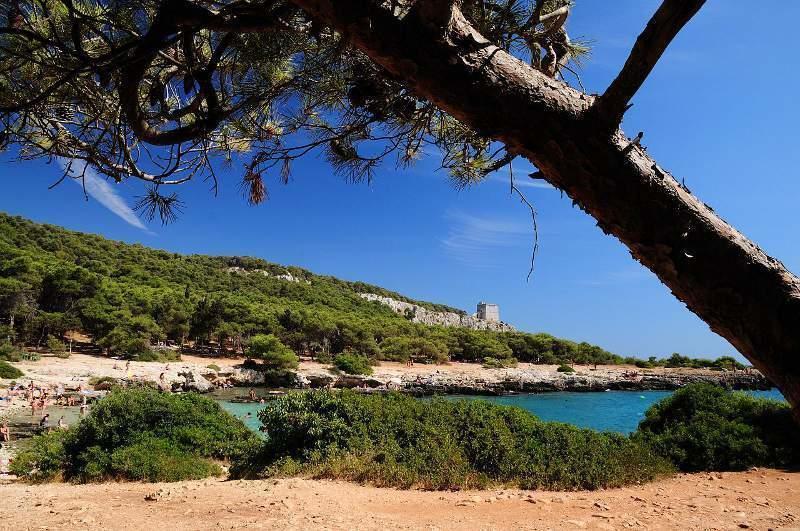 Masseria Vivi Il Salento Santa Caterina  Quarto foto