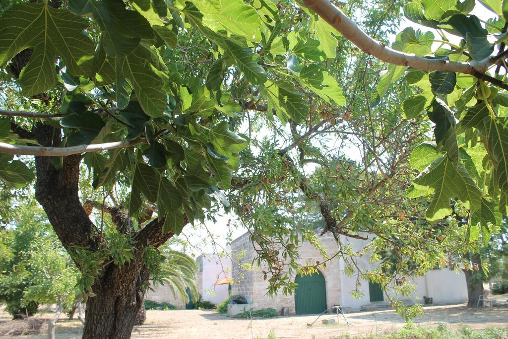 Masseria Vivi Il Salento Santa Caterina  Quarto foto